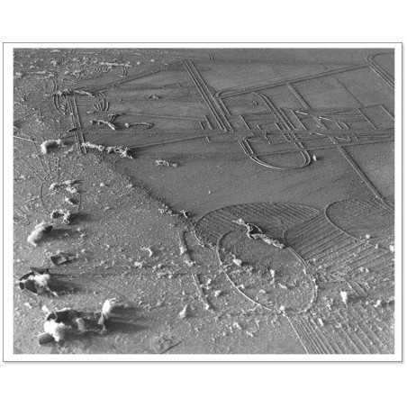 Man Ray|Man Ray Print|man ray silver photographic print|Dust Breeding (Elevage de poussière), 1920|€156.00