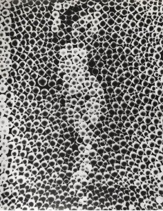 Man Ray|Man Ray Print|man ray tirage photographique argentique|Photothèque Man Ray - TELIMAGE|Donna