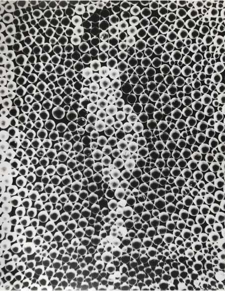 Riflessioni, 1929
