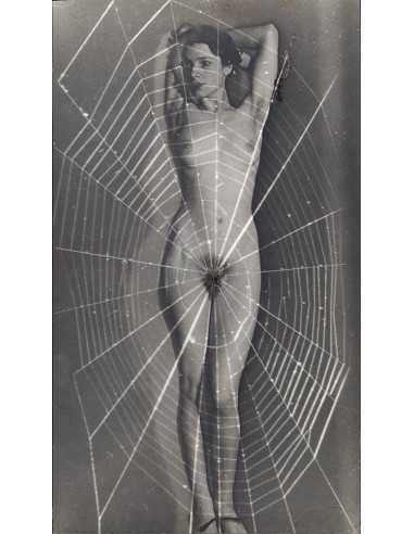 Man Ray|Man Ray Print|man ray tirage photographique argentique|Spider woman, 1929|156,00&nbsp;€|Photothèque Man Ray - TELIMAGE