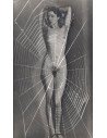 Man Ray|Man Ray Print|man ray tirage photographique argentique|Aurélien, 1944|156,00&nbsp;€|Photothèque Man Ray - TELIMAGE