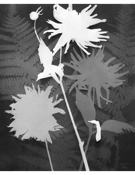 Man Ray|Man Ray Print|man ray tirage photographique argentique|rayographie, 1925|156,00&nbsp;€|Photothèque Man Ray - TELIMAGE