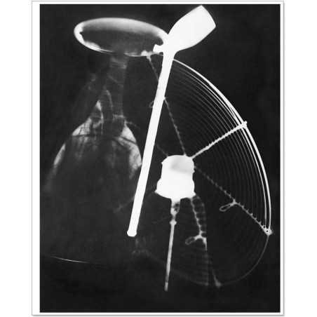 Man Ray|Man Ray Print|man ray tirage photographique argentique|Rayographie "Champs Délicieux" n° 10, 1922|156,00 €|Photothèque Man Ray - TELIMAGE