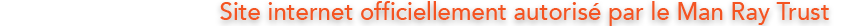 sit-web-fr3.png